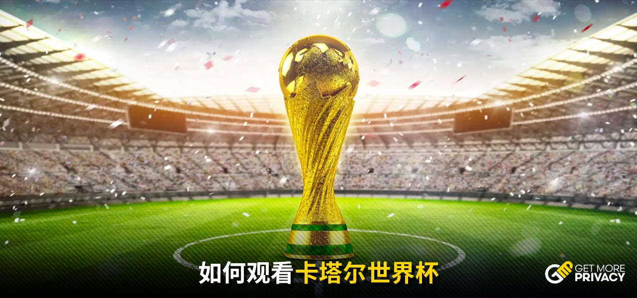 与猛龙的这